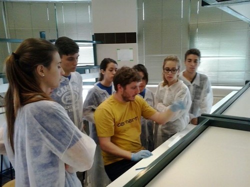 Los jóvenes de los Campus Científicos, en el laboratorio de biología celular.