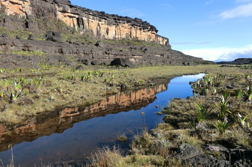 Vista del río Arabopó en la cima del Roraima. Este río transcurre por el llamado Valle de los Cristales, que debe su nombre al afloramiento de cristales de cuarzo. (Foto: Bruce Holst, 2011.)