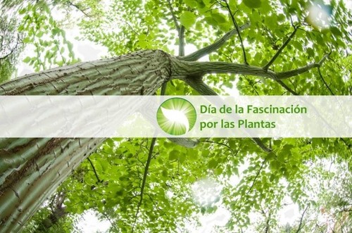 Día Internacional de la Fascinación por las Plantas