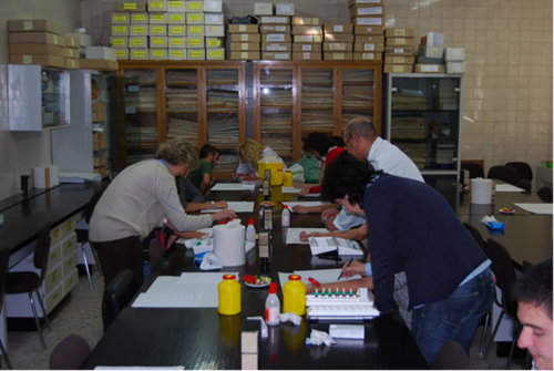El Grupo en Aerobiología de la Universidad de León realiza el estudio sobre alergias. FOTO: ULE.