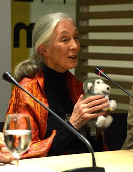 Jane Goodall habla en rueda de prensa (FOTO: MEH).