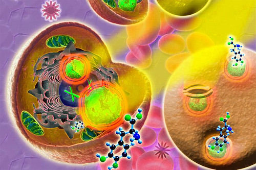 Hidrogeles que atacan células cancerígenas.