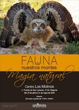Cartel exposicion “Fauna de Nuestros Montes: Magia Natural”