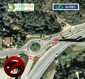 Imagen aérea que muestra los accesos a la carretera en los que se ha aplicado el compuesto químico. Foto: Natur Futura.