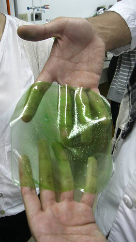 Diseñan envases comestibles a partir de un biopolímero. FOTO: UN.