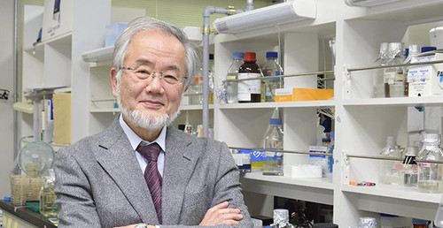 El doctor Yoshinori Ohsumi. Créditos: Instituto de Tecnología de Tokio.