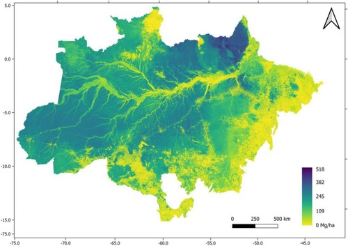 Distribución de la biomasa ubicada sobre el suelo de la Amazonia, en toneladas por hectárea. Imagen: Jean Pierre Ometto et al./Scientific Data.