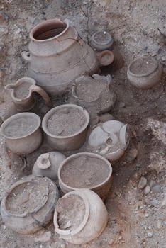 Restos encontrados en el yacimiento arqueológico de Pintia (Fotos del Centro de Estudios Vacceos de la Universidad de Valladolid)