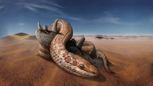 Ilustración de la serpiente Najash reconstruida en vida por Raul O. Gómez.