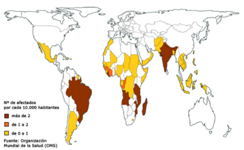 Mapa de distribución de la lepra que muestra los países en proporción a sus tamaños relativos, según áreas iguales (Fuente: Anesvad)