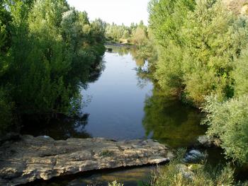 Entorno natural del caudal de un río