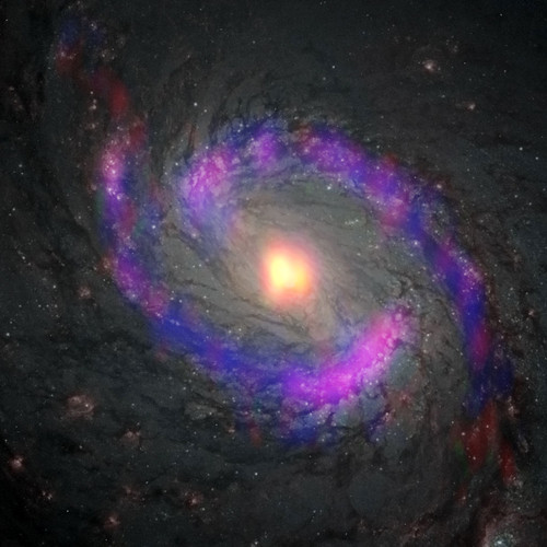 Zona central de la galaxia M77, también conocida como NGC 1068, observada por ALMA y el telescopio espacial Hubble de NASA/ESA. 