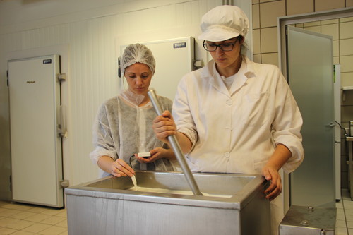 Investigadoras trabajan con los quesos. Foto: UPV.