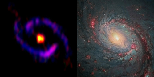 Zona central de la galaxia M77, también conocida como NGC 1068, observada por ALMA y el telescopio espacial Hubble de NASA/ESA. 