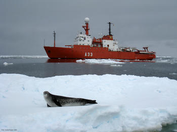 El buque de investigación oceanográfica Hespérides, entre hielos desprendidos de la plataforma Wilkins, en el Mar de Belinghausen.
