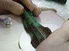 FOTO: FUNDACION DINOSAURIOS. Recuperación de hacha de bronce mediante cloruros.