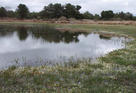 Lagunas de Cantalejo