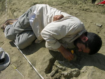 Fernando Díez excavando los restos de un primate fósil (Foto cedida por el investigador).