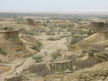 Zona de la región de Peninj donde se están llevando a cabo las excavaciones (FOTO: Fernando Díez).
