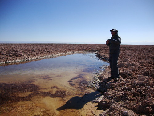 Investigaciones en el Salar de Atacama (FOTO: UA).