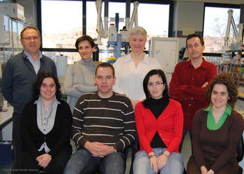Grupo de investigación Amido de la Universidad de Burgos.