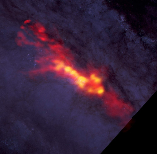 Estos nuevos datos de ALMA revelaron un envoltorio difuso de gas de monóxido de carbono (representado en rojo) que envuelve las incubadoras, o zonas donde se forman estrellas (en amarillo). Créditos: B. Saxton (NRAO/AUI/NSF); ALMA (NRAO/ESO/NAOJ); A. Le