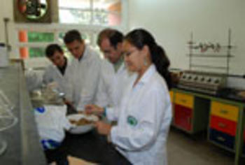 Al Laboratorio de Química Biorgánica le corresponderá el análisis de constitución química de los materiales de partida (FOTO: UCR)