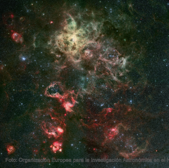 Nebulosa de la Tarántula; su estudio es clave para comprender la evolución de la formación estelar a gran escala en el Universo.