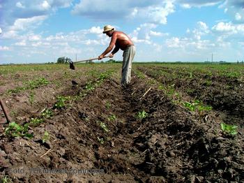 Agricultura y manejo del suelo