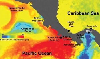 Investigación del STRI sobre temperaturas de los océanos. Imagen: STRI.