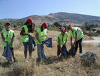 Un grupo de voluntarios participando en la actividad.