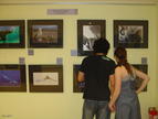Una pareja observa las fotografías ganadoras del certamen expuestas en 'Fotógrafos de la Naturaleza 2008'.