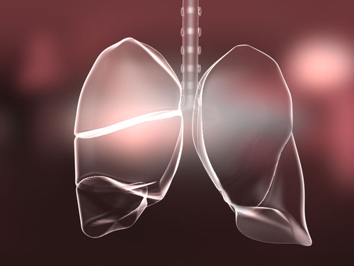 Inflamación en los pulmones./ V. Altounia-Science Translational Medicine