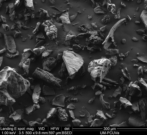 Imagen de Microscopio Electrónico de Barrido Ambiental (ESEM) de maíz extruido. Créditos Mario Martínez