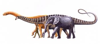 Comparación de las dimensiones de Amazonsaurus maranhensis con un Titanossauro (dinosaurio amarillo), hombre y elefante. (Dibujo de Ariel Milani)