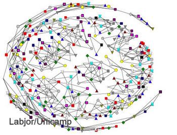 Rede mapeada por interações de um grupo