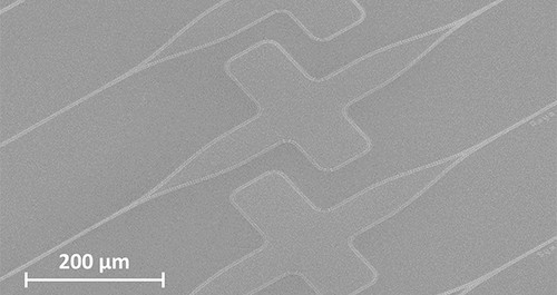 Estructura usada para medir el divisor nanofotónico en un chip de silicio. / CSIC.