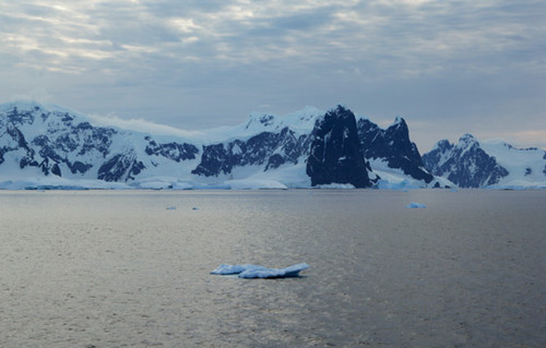 Investigadores realizaron una lista con los temas de mayor importancia en la ciencia antártica para los próximos 20 años. Foto: CONICET Documental.