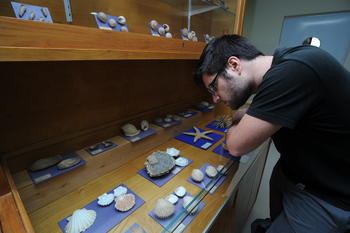 Un visitante observa muestras de moluscos en la Estación Experimental de Zonas Áridas.