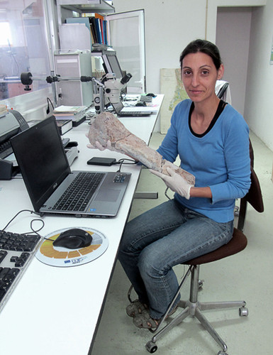 La investigadora Elisabete Malafia muestra un hueso de ceratosaurio en el laboratorio de la SHN / GBE-UNED.