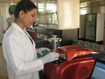 La investigadora Blanca Bastidas Ramírez en un laboratorio del Instituto de Enfermedades Crónico-Degenerativas del Centro Universitario de Ciencias de la Salud de la Universidad de Guadalajara. (Foto: Cortesía de Blanca Bastidas Ramírez)