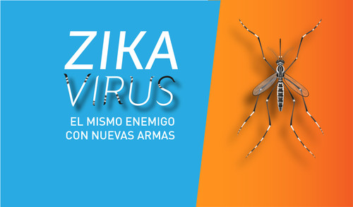 Zika. FOTO: CONICET