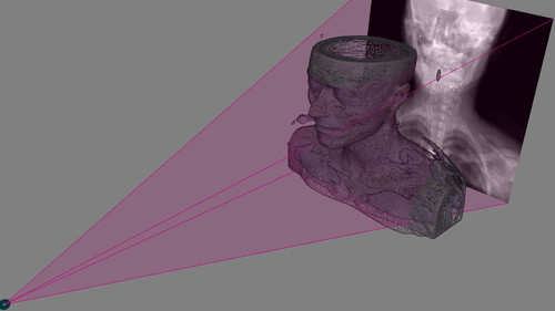 Conversión de radiografía en imagen 3D. Imagen: CSIC.
