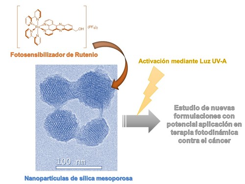 Se muestra un esquema que resume el tipo de compuesto sensibilizador de rutenio utilizado, así como una imagen TEM de los nanomateriales basados en sílica mesoporosa empleados en el estudio foto-dinámico in vitro.