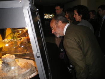 El alcalde de Valladolid, Francisco Javier León de la Riva, observa una de las especies expuestas en la muestra 'Veneno animal'.