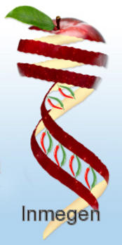 Logotipo del Simposio Internacional de Nutrigenomica.