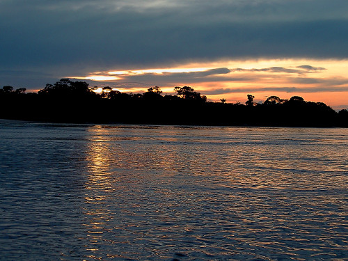 Amazonas. FOTO: IVIC.