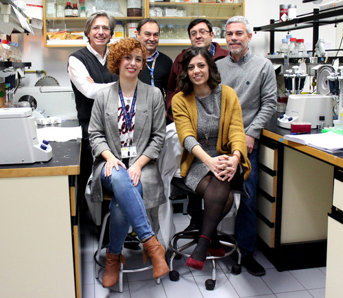 Grupo de investigación que ha trabajado en la investigación sobre la miopatía congénita. Foto: CIBER.