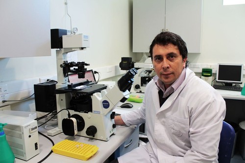 Patricio Villalobos, investigador asociado del Centro de Biotecnología Dr. Daniel AlkalayLowitt. FOTO: USM.