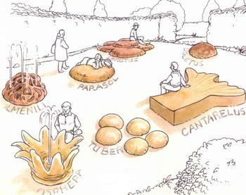 'Plaza de los sentidos', una de las propuestas para el jardín